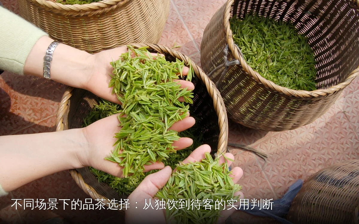 不同场景下的品茶选择：从独饮到待客的实用判断